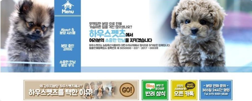 반려동물 업종 디자인